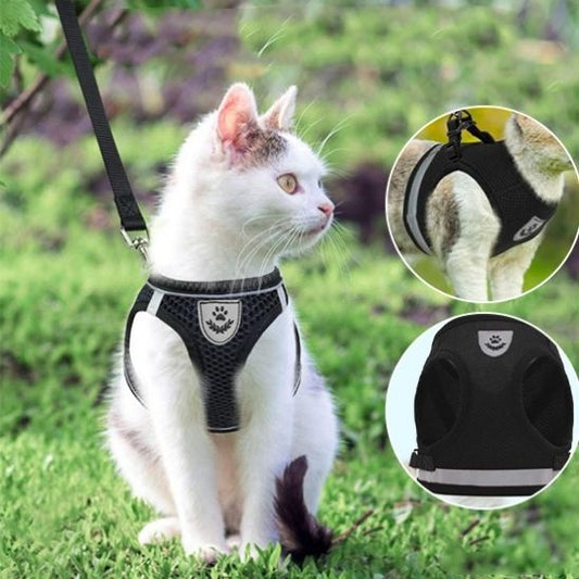 Harnais Chat avec Laisse La Patte Velue 1