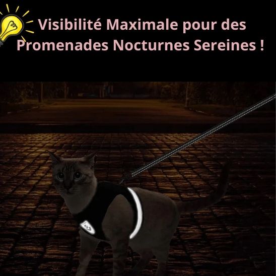 Harnais Chat avec Laisse La Patte Velue 2