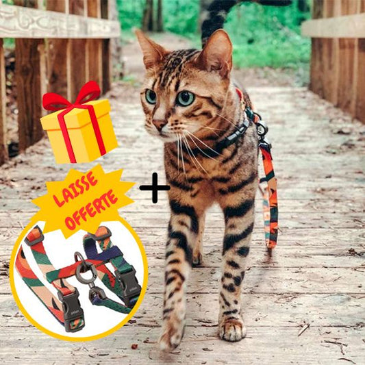 Harnais Leger Ajustable Chat La Patte Velue