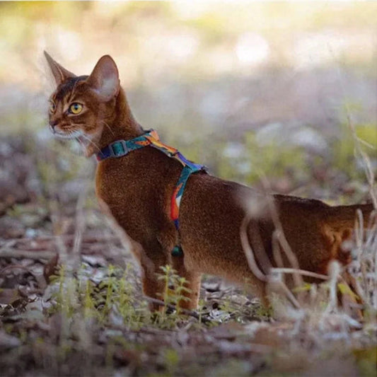 Harnais Leger Ajustable Chat La Patte Velue 1