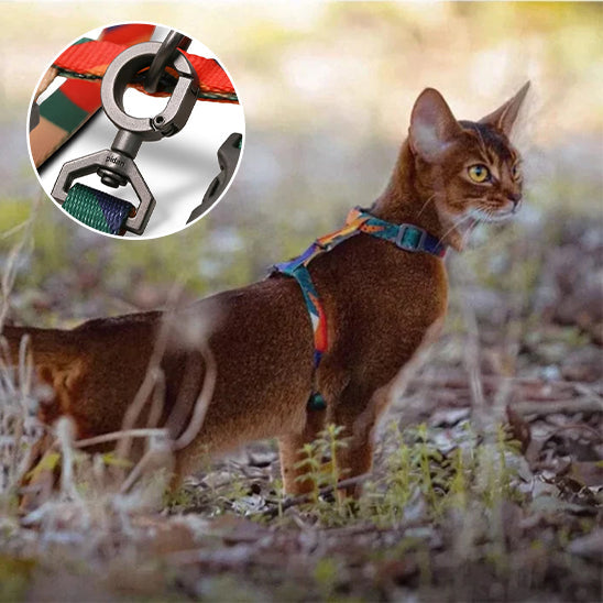 Harnais Leger Ajustable Chat La Patte Velue 4