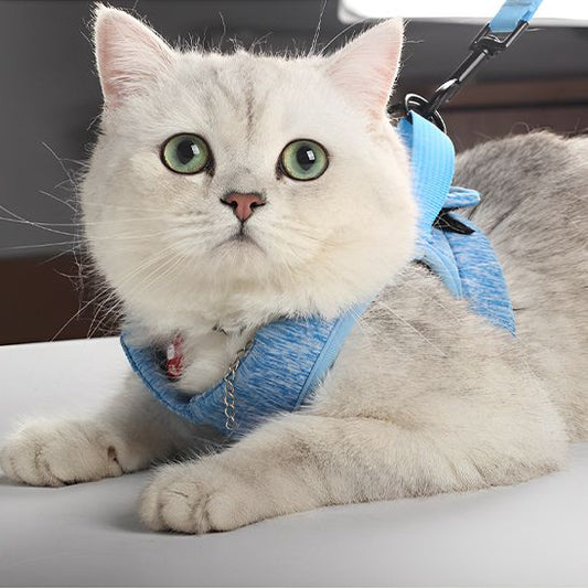 Harnais Respirant pour Chat La Patte Velue 1