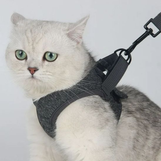 Harnais Respirant pour Chat La Patte Velue 2
