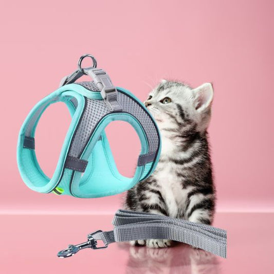 Harnais pour Chaton La Patte Velue