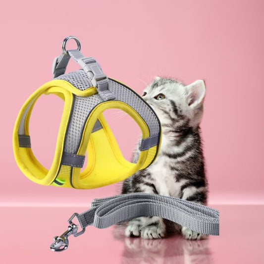 Harnais pour Chaton La Patte Velue 1