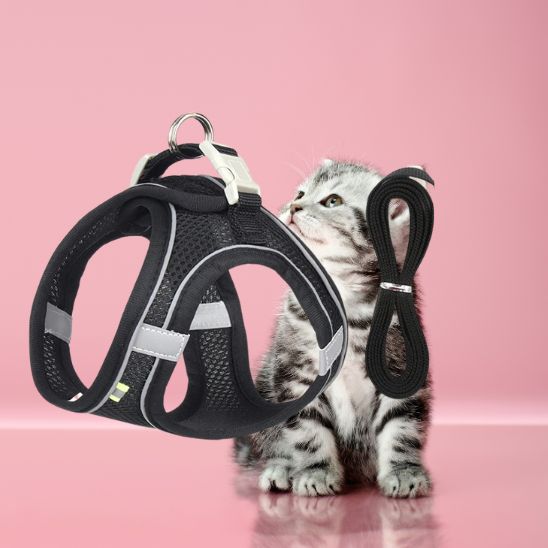 Harnais pour Chaton La Patte Velue 2
