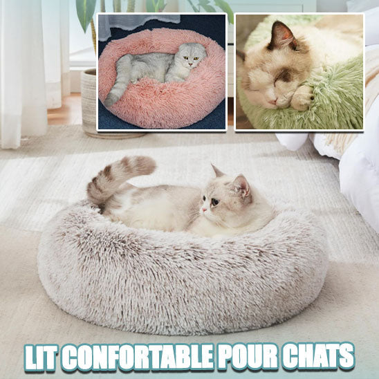 Le Coussin Chat Antistress La Patte Velue 3