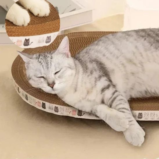 Panier 2 en 1 pour Chat La Patte Velue 4