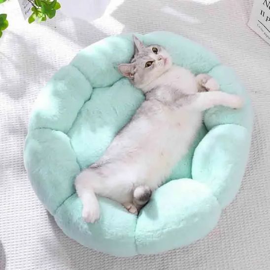 Panier Chat Anti Stress La Patte Velue