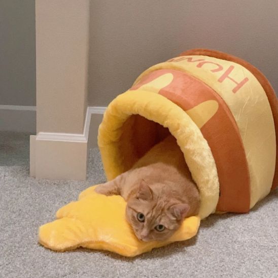 Panier Chat Pot de Miel La Patte Velue