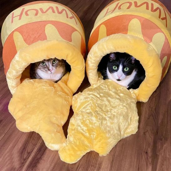 Panier Chat Pot de Miel La Patte Velue 1