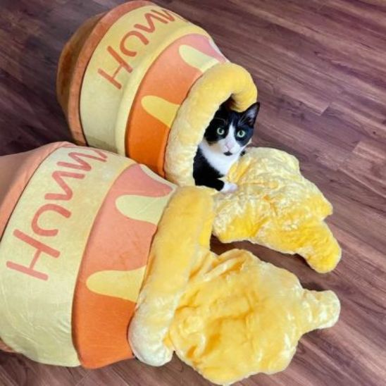 Panier Chat Pot de Miel La Patte Velue 2