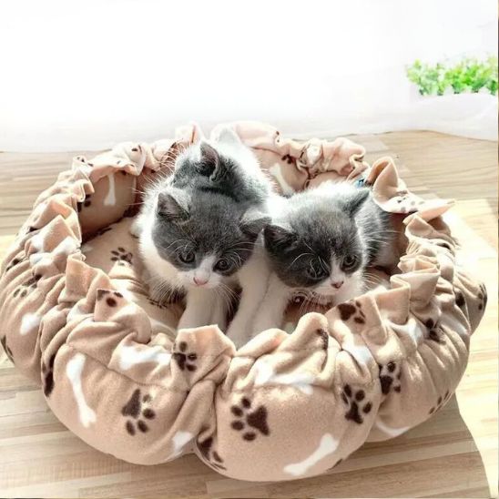 Panier pour Chat Original 2 en 1 La Patte Velue