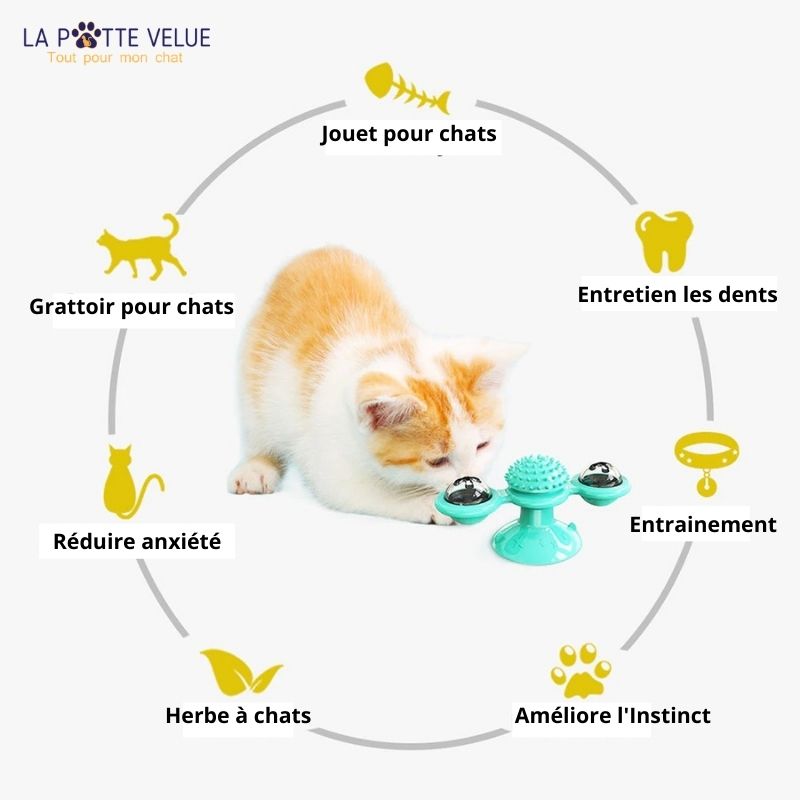 ROLLING™ | Améliore l'acuité de Minou et s'amuse comme jamais
