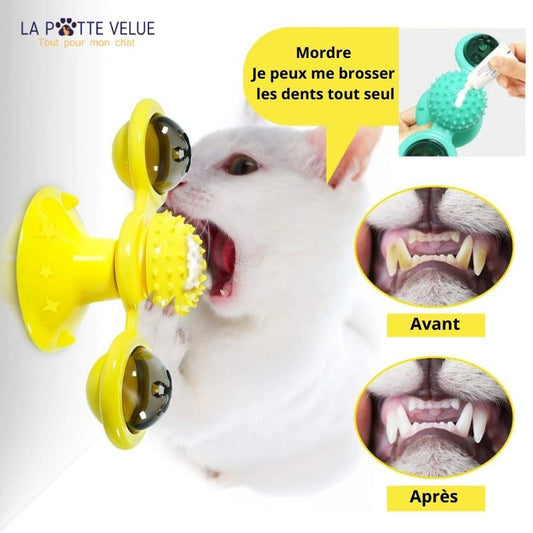 ROLLING™ | Improves Kitty's acuity and has fun like never before