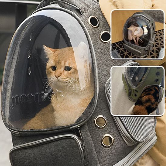 Sac a Dos pour Chat avec Hublot La Patte Velue