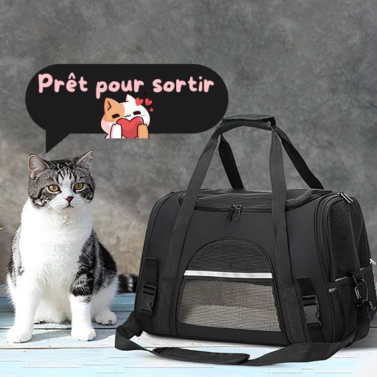 Sac transport chat La Patte Velue 2