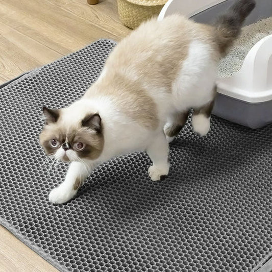 Cat Litter Mat | Clean and Hassle-Free Interior