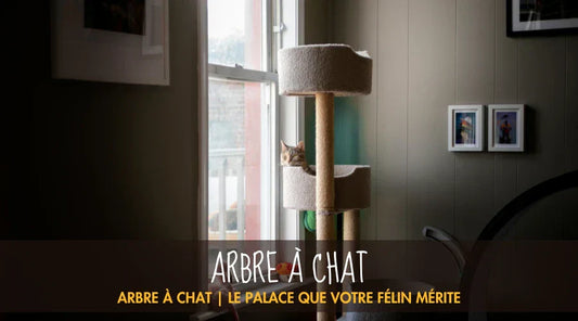 Arbre À Chat La Patte Velue