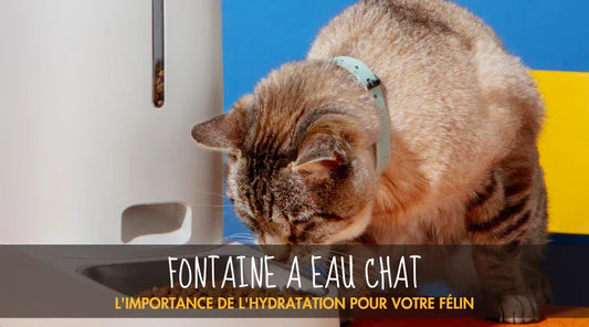 Fontaine A Eau Chat La Patte Velue