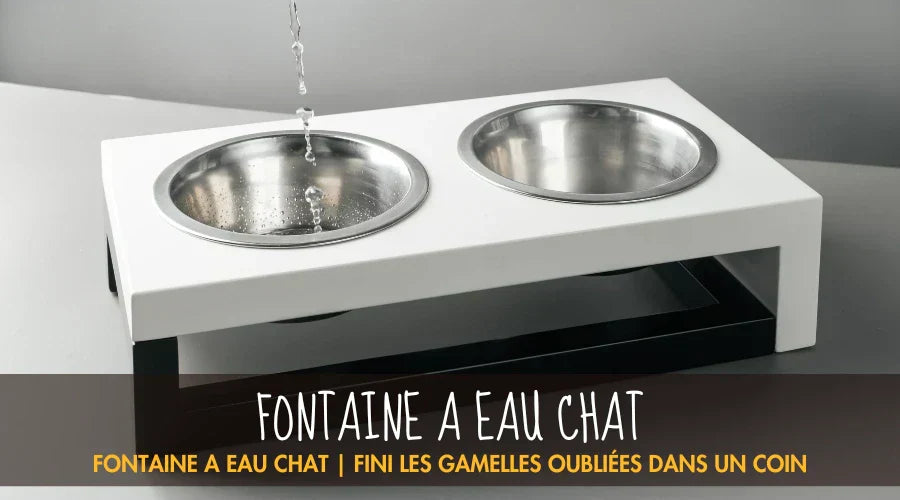 Fontaine A Eau Chat La Patte Velue