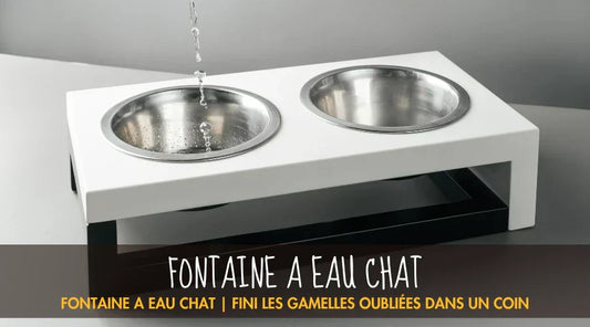 Fontaine A Eau Chat La Patte Velue