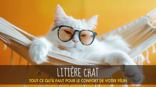 Litière Chat La Patte Velue