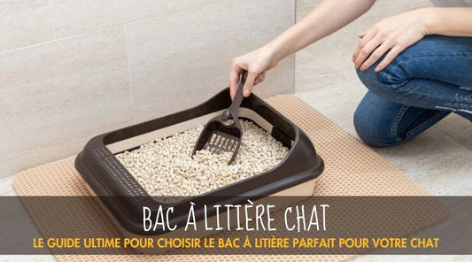 Le guide ultime pour choisir le bac à litière parfait pour votre chat