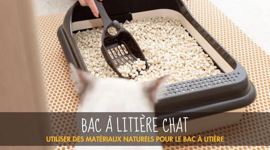 Utiliser des matériaux naturels pour le bac à litière