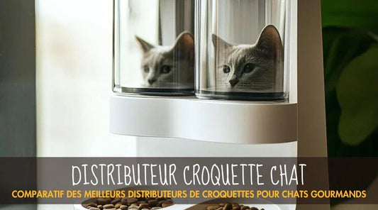 Distributeur Croquette Chat - La Patte Velue