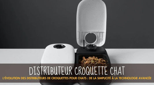 L'évolution des distributeurs de croquettes pour chats : de la simplicité à la technologie avancée