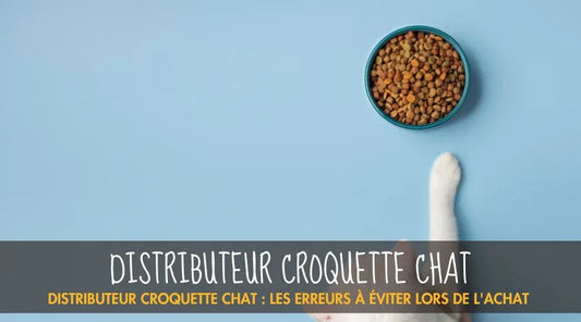 Distributeur Croquette Chat - La Patte Velue