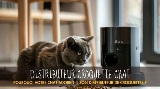 Distributeur Croquette Chat - La Patte Velue