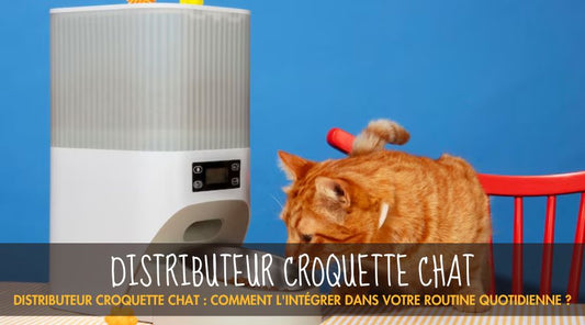 Distributeur Croquette Chat - La Patte Velue