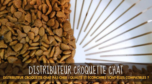 Distributeur Croquette Chat - La Patte Velue