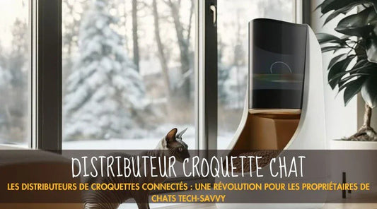 Distributeur Croquettes Chat