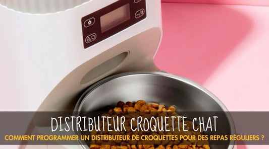 Distributeur Croquette - La Patte Velue