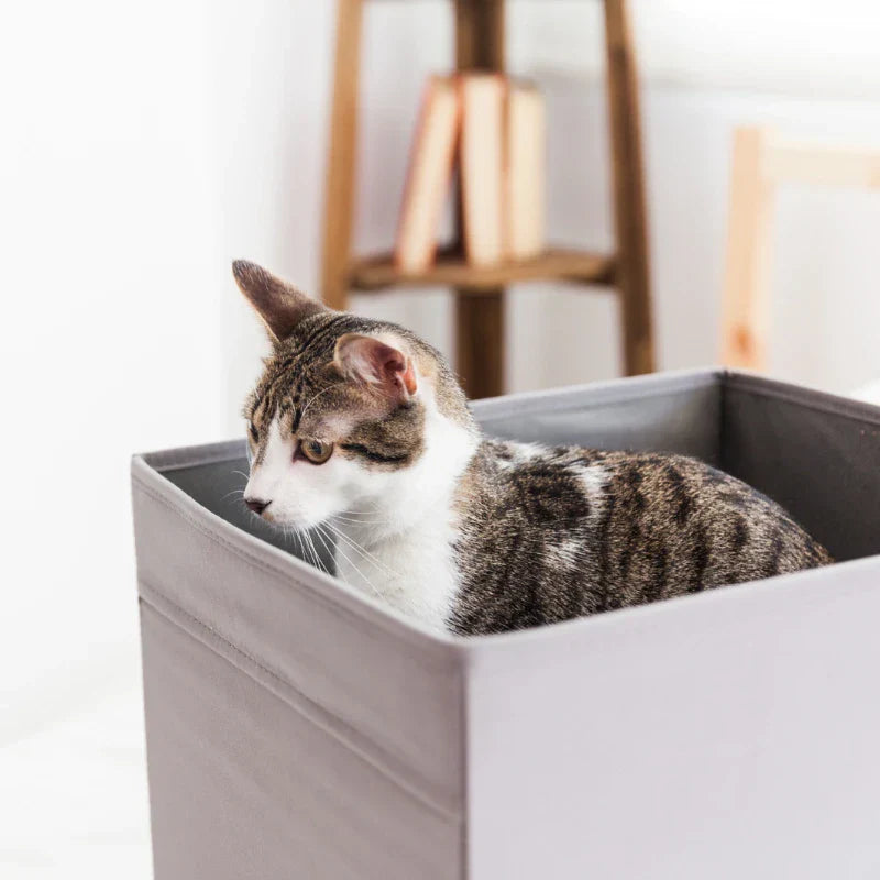 Bac À Litière Chat La Patte Velue
