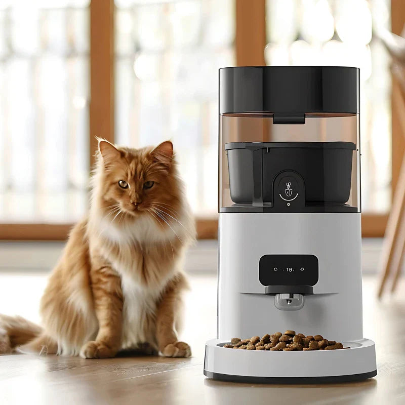Distributeur Croquette Chat La Patte Velue