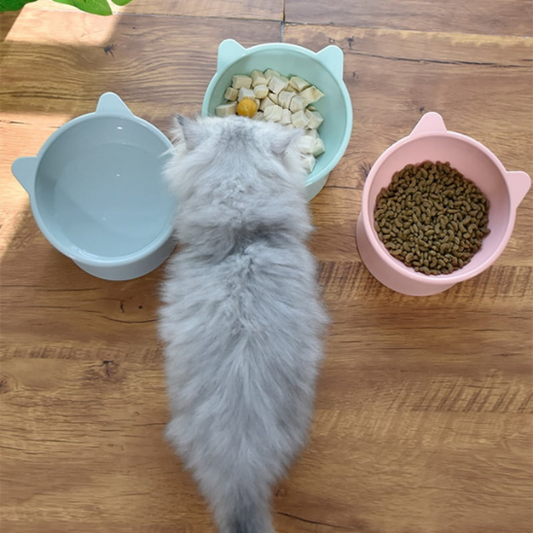 Bol Chat La Patte Velue