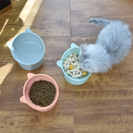 Bol Chat La Patte Velue 1