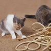 Corde pour arbre a chat La Patte Velue