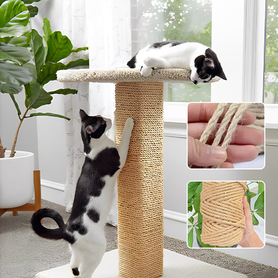 Corde pour arbre a chat La Patte Velue