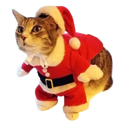 Costume Pere Noel pour chat La Patte Velue 3