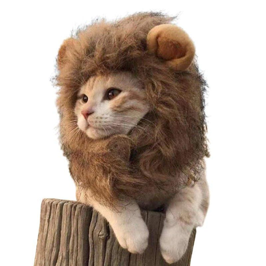 Costume pour chat lion La Patte Velue