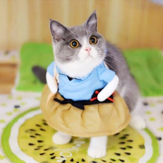 Costume samouraï pour chat - La Patte Velue