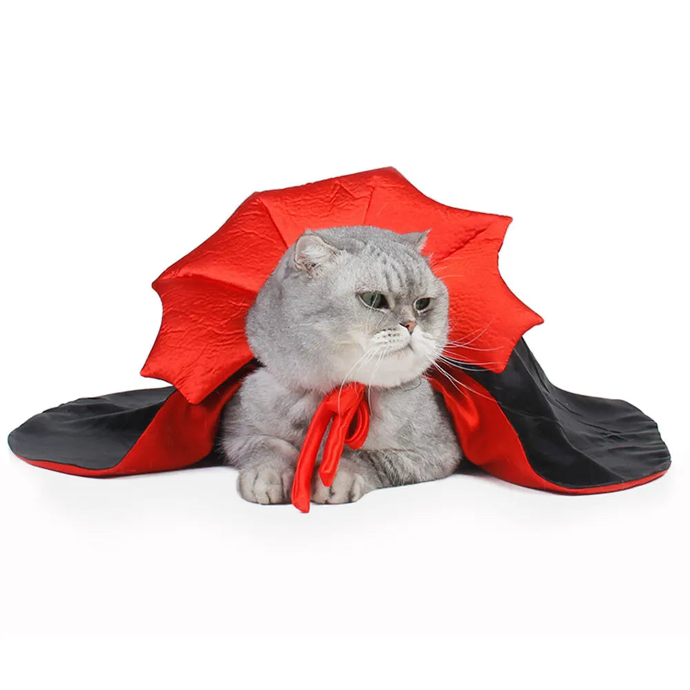 Costume vampire pour chat La Patte Velue 2