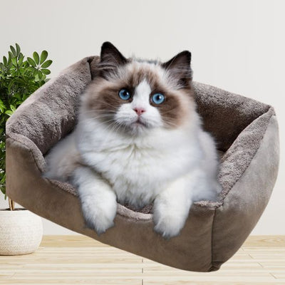 Coussin Chat Ultra Doux La Patte Velue 4
