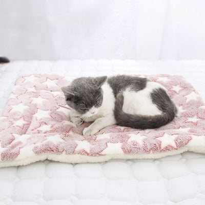 Coussin chat doux et lavable La Patte Velue 1