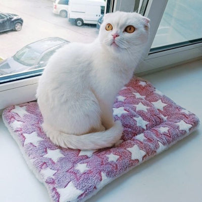 Coussin chat doux et lavable La Patte Velue 2